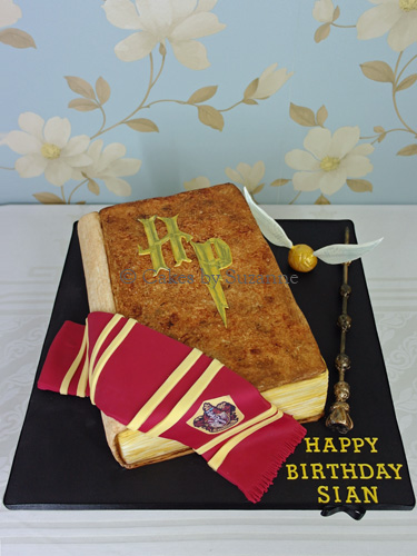 Harry Potter book birthday cake scarf snitch wand